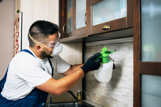 Best Best Pest Control Companies  in Congress, AZ
