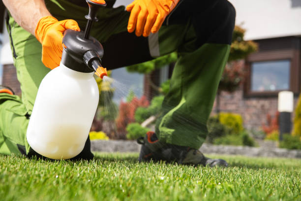 Best Local Pest Control Services  in Congress, AZ