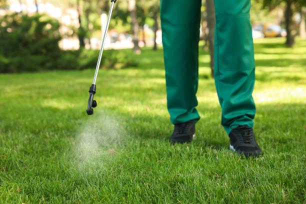 Best Best Pest Control Companies  in Congress, AZ