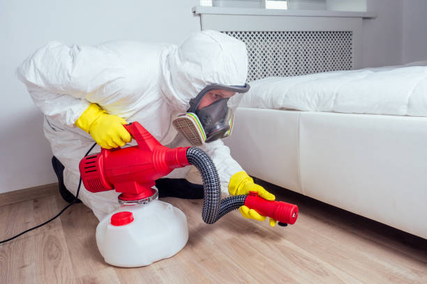 Best Pest Removal Services  in Congress, AZ
