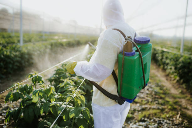 Congress, AZ Pest Control Company